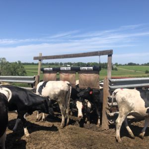 9ft Walkway - Straight Curtains